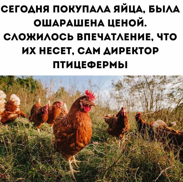 Юмор из интернета 600