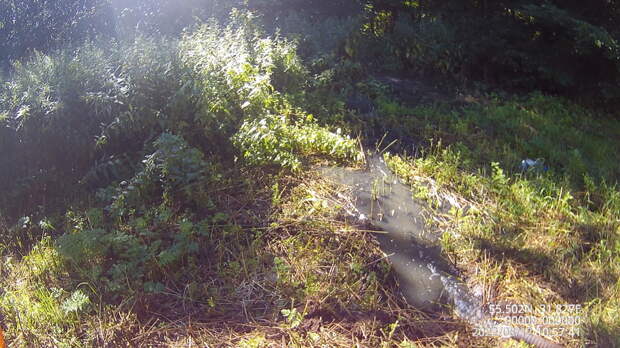 Санаторий в Пржевальском