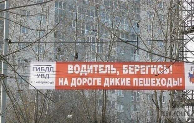 автоприколы