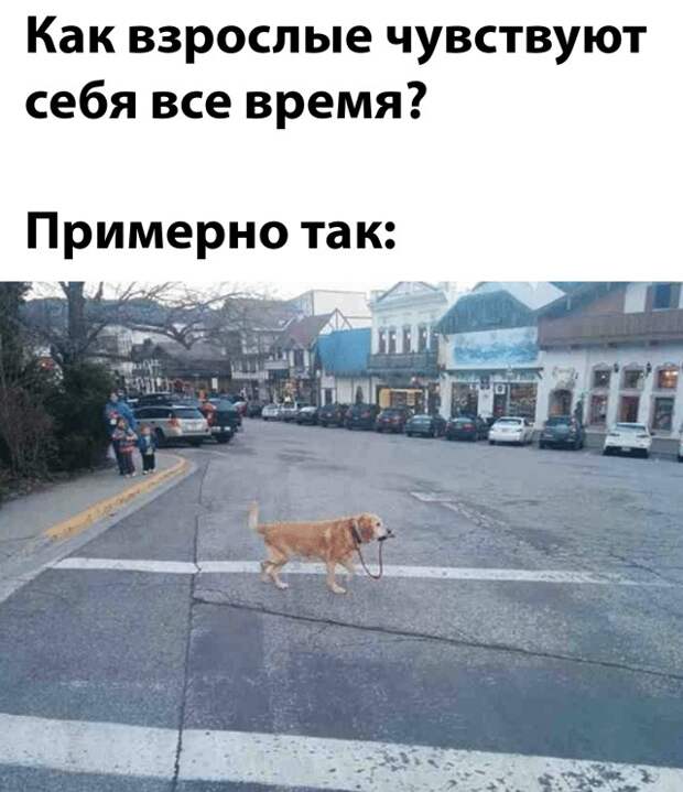Смешные картинки 14 октября 2021 года