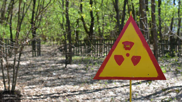 Опасный радиоактивный объект обнаружили в Чернобыльской зоне