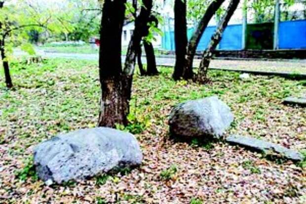Эти камни Тимоша принес в городской сад с Майдана и устроил себе место отдыха