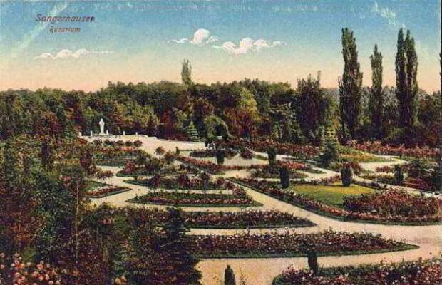 rosarium_sangerhausen_014.jpg