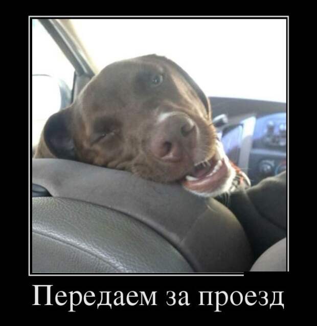 Демотиваторы Демотиваторы