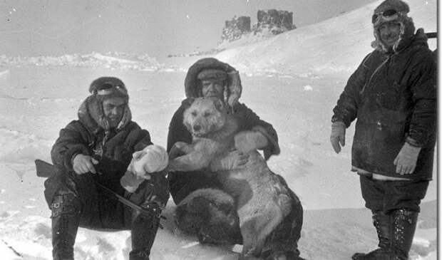 Как советская экспедиция создала первую в мире полярную дрейфующую станцию на льдине