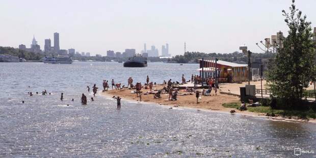 Пляж. Фото: mos.ru