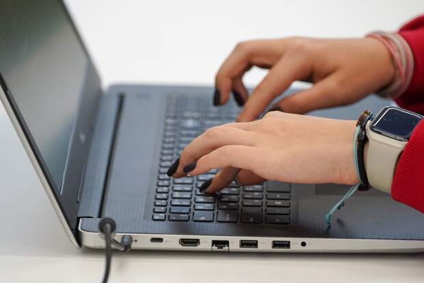 «Грамота. ру»: в РФ чаще всего ищут верное ударение слов «щавель» и «красивее»