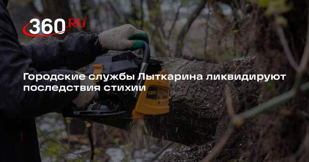 Городские службы Лыткарина ликвидируют последствия стихии