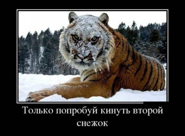 Новые прикольные демотиваторы июня