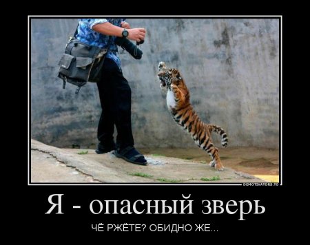 Долой трусы, смотри прикольные демотиваторы.