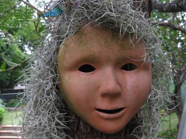 Этот загадочный испанский мох