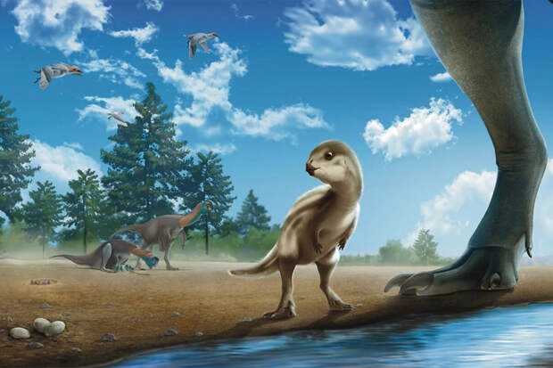 Fossil Record: обнаружен новый вид динозавра Doolysaurus huhmini