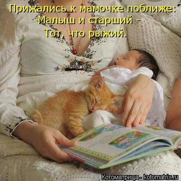 Котоматрицы великолепные, каждая с кусочком позитива и хорошего настроения!!!