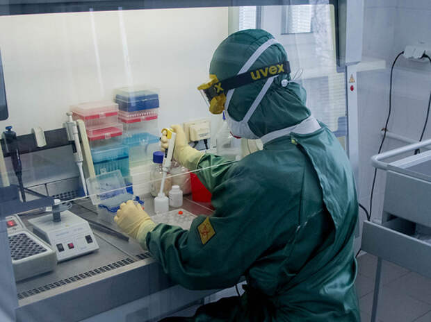 Биотехнологи обнаружили полностью блокирующее коронавирус антитело Биотехнологи обнаружили полностью блокирующее коронавирус антитело