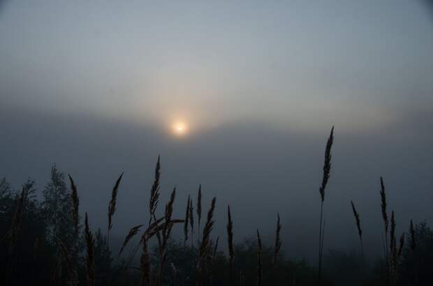 Москву и Московскую область 5 февраля накроет густой туман