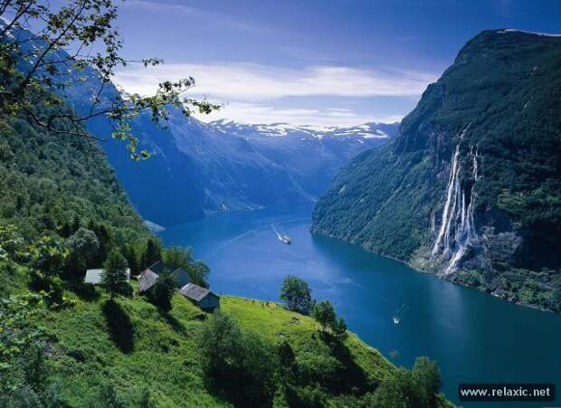 nature_037