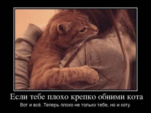 Демотиваторы (35 шт)