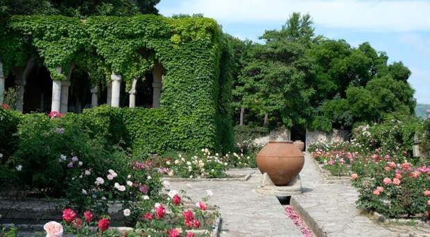 Фото: Анна Попкова