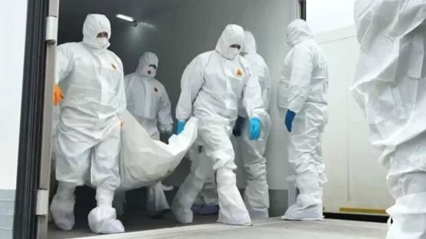 На Украине разоблачили ложь Зеленского о потерях ВС РФ