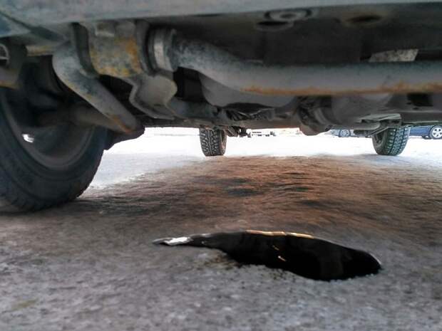 Утечка масла/ Фото: drive2.ru