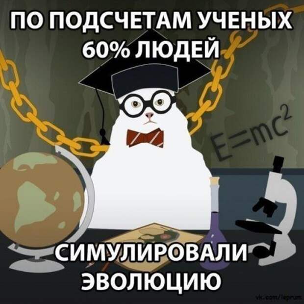 Пятничные фото приколы и картинки  (41 шт)