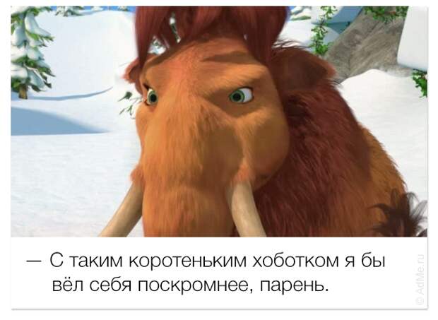 смешные цитаты из мультфильмов, фразы мультфильмы