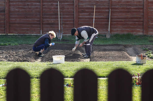 Дачникам назвали способ не попасться на ИИ-семена на маркетплейсах