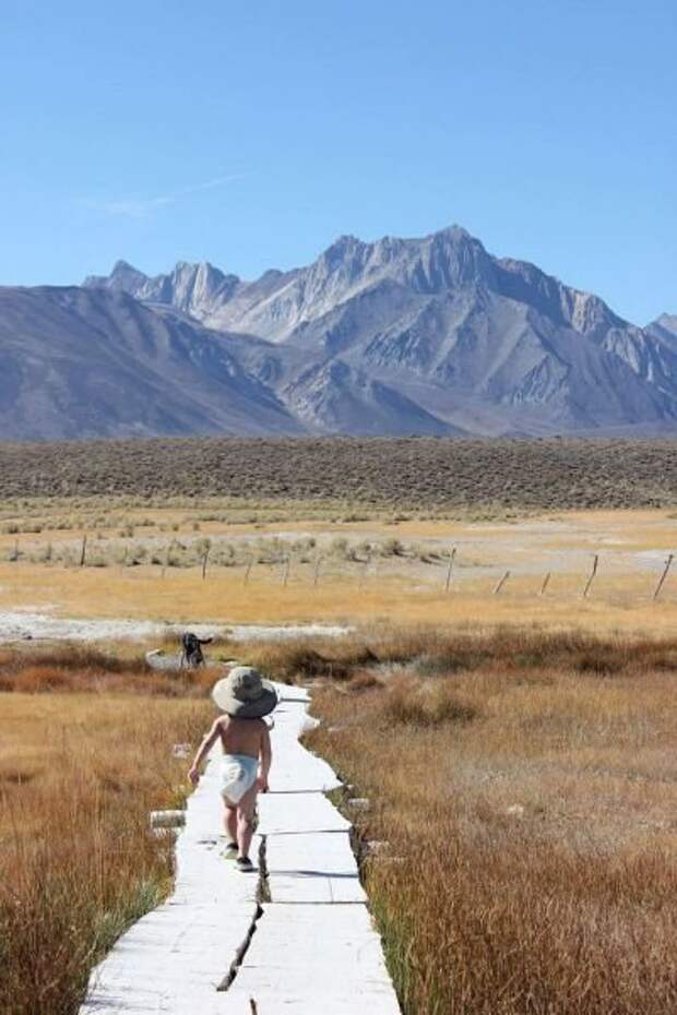 Самый путешествующий 2-летний малыш Бодхи Беннетт (27 фото)