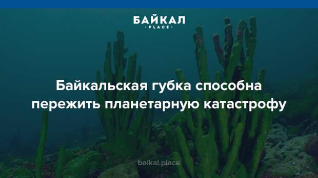 5 неожиданных фактов про озеро Байкал байкал, девушки, интересно