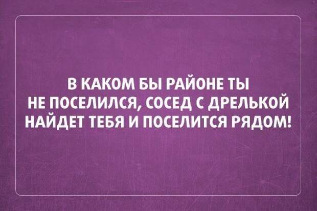 Классная подборка цитат