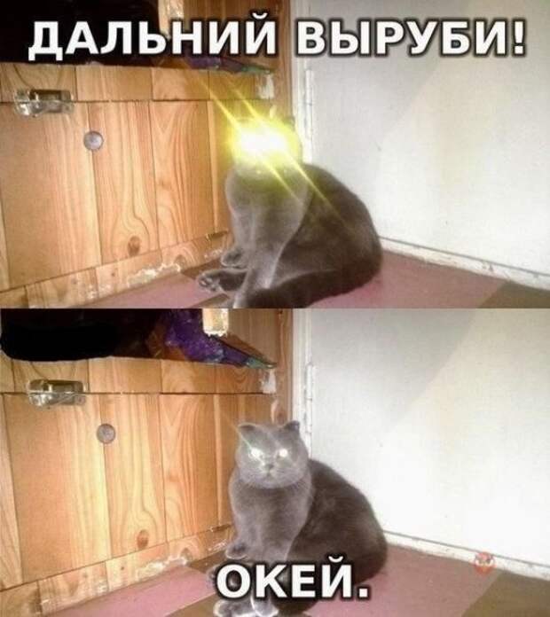 Смешарики и приколычи (44 шт)