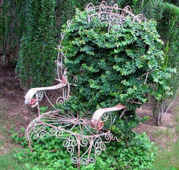 Кресло, увитое растениями, фото с сайта subscribe.ru, автор не указан