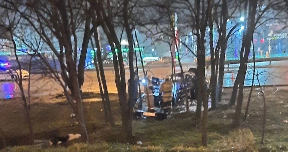 В Симферополе автомобиль врезался в дерево и загорелся: погибла девушка