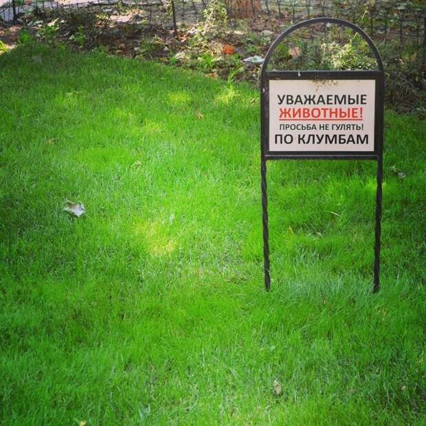 Странности, которые могли произойти везде, но случились почему-то в Одессе 