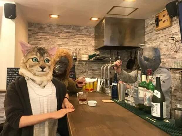 Необычные японские маски для тех у кого есть питомец Необычные японские маски для тех у кого есть питомец