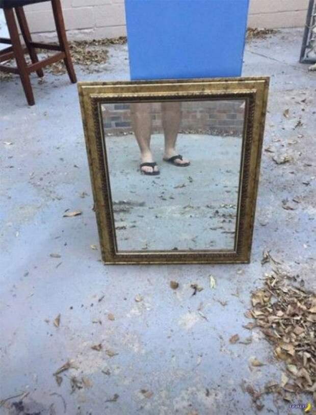 1583424103_330393_1148902.jpg