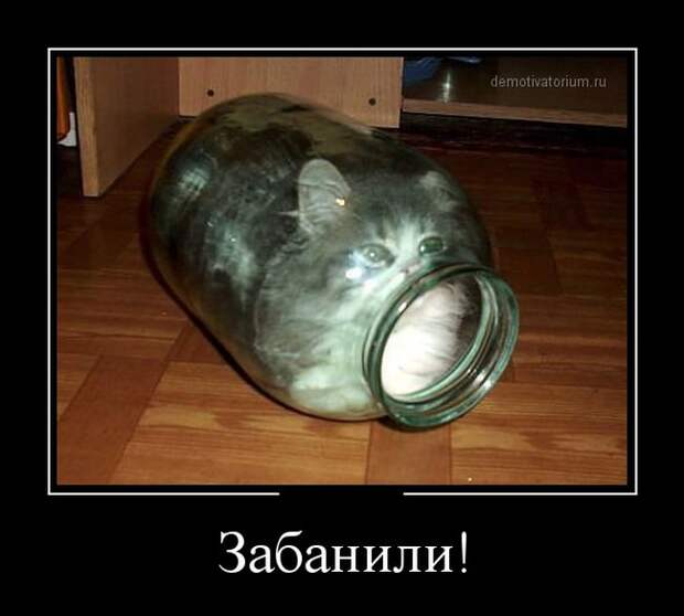 Демотиваторы бревно, демотиваторы, юмор