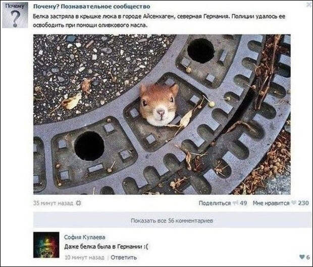 Смешные комментарии из социальных сетей (18 скриншотов)