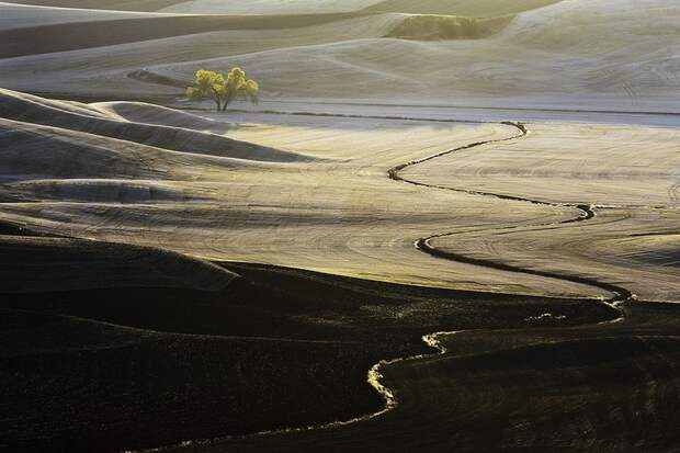 Изумрудные холмы Палуз (Palouse)