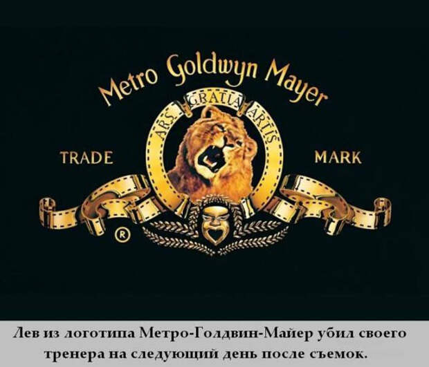 Интересности обо всем