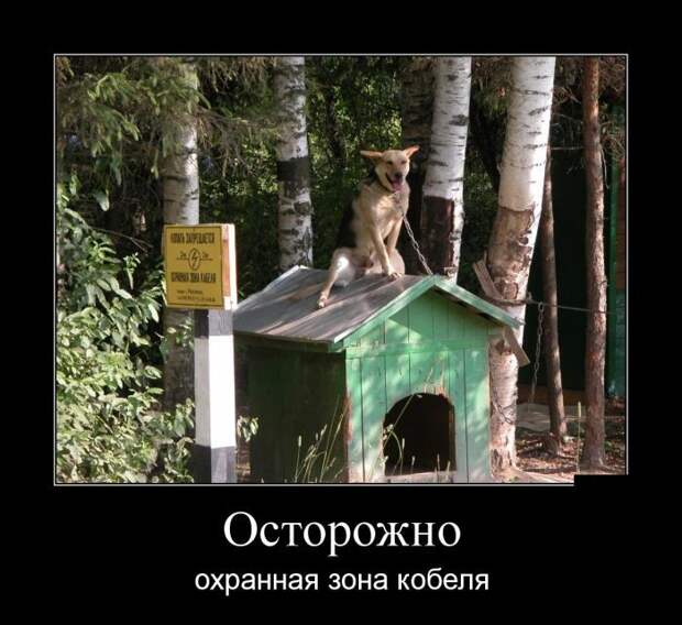 Сборник демотивационных приколов Сборник демотивационных приколов