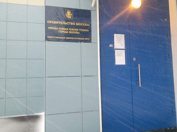 На Туристской удалили заросли борщевика