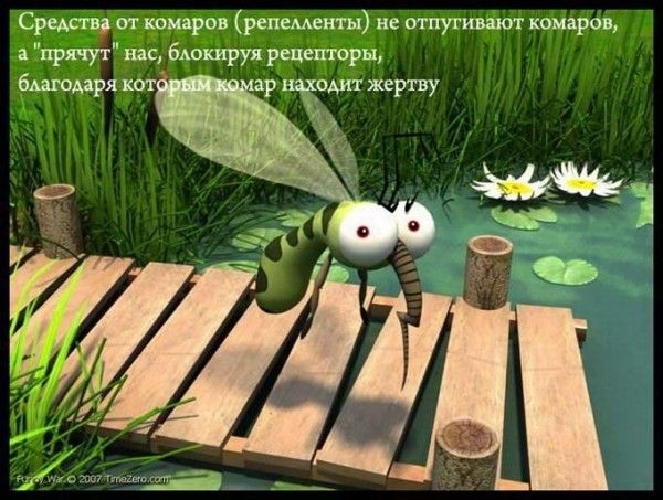 Подборка интересных фактов для Вашего мозга (15 картинок) Подборка интересных фактов для Вашего мозга (15 картинок)
