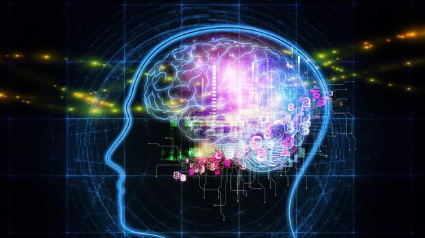 Нейробиолог назвал 6 простейших привычек, чтобы улучшить здоровье мозга