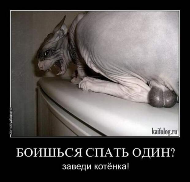 Демотиваторы (35 шт)