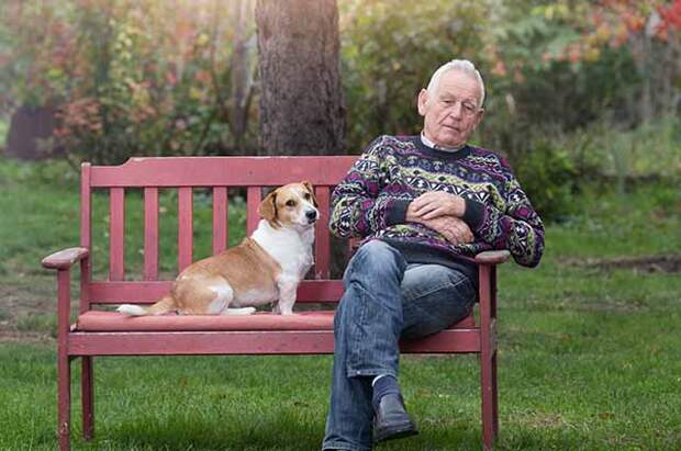 Пожилой человек на скамейке с собакой