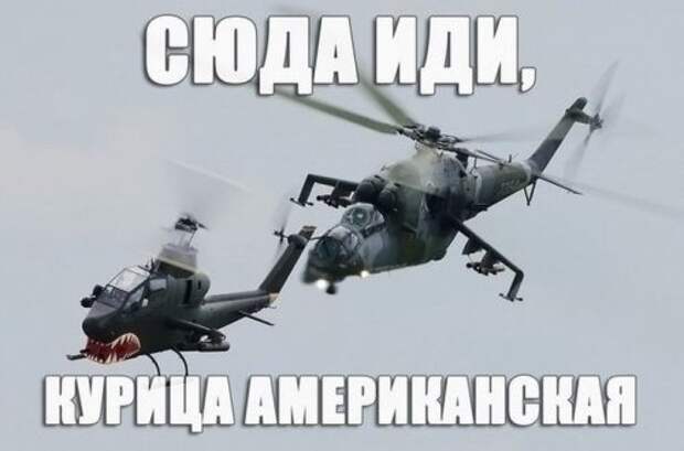 Прикольных картинок много не бывает (33 шт)