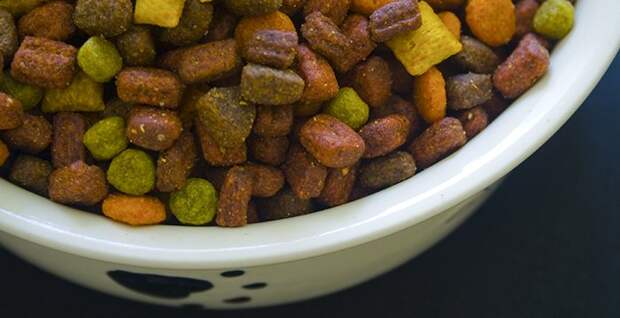 Pet Food
