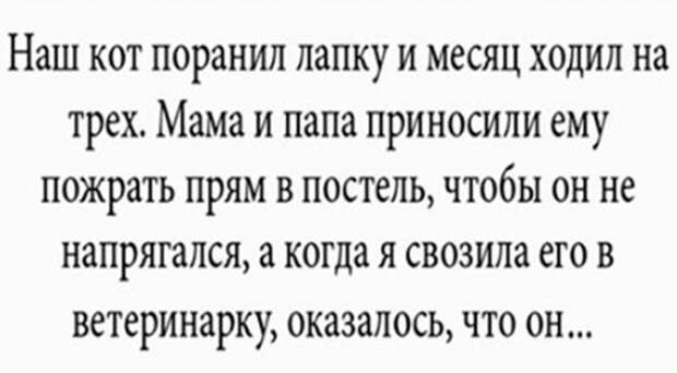 14 убойных историй для хорошего настроения