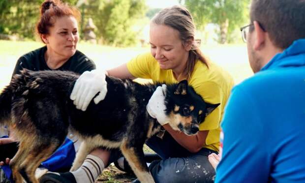 Фото Алексея Тачкова
